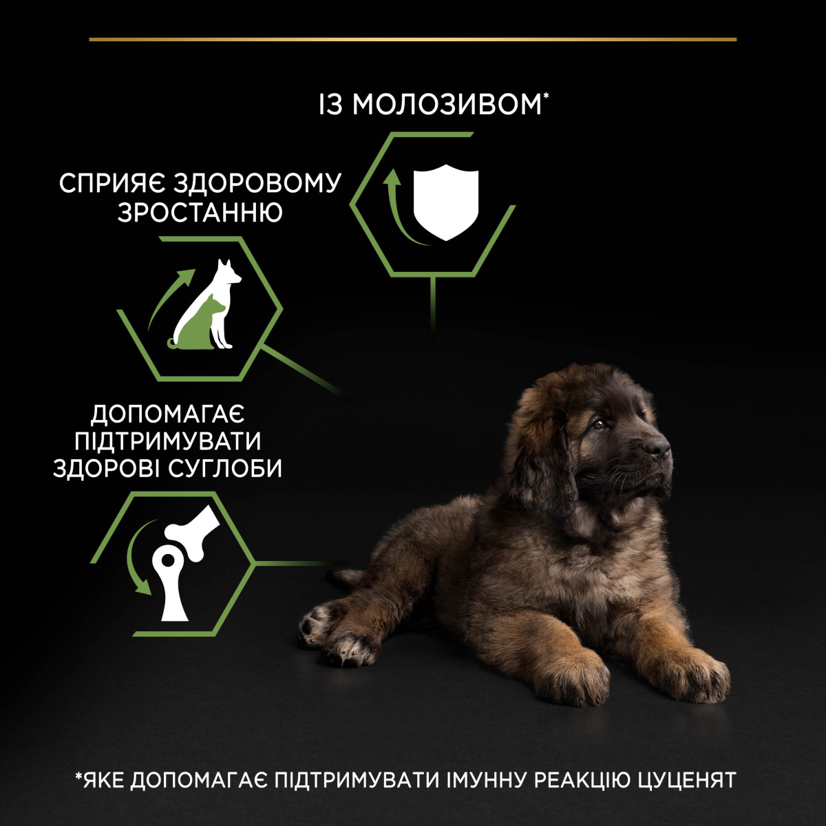 Сухий корм для здорового розвитку цуценят великих порід з Куркою Purina Pro Plan Large Robust Puppy Healthy Start Chicken
