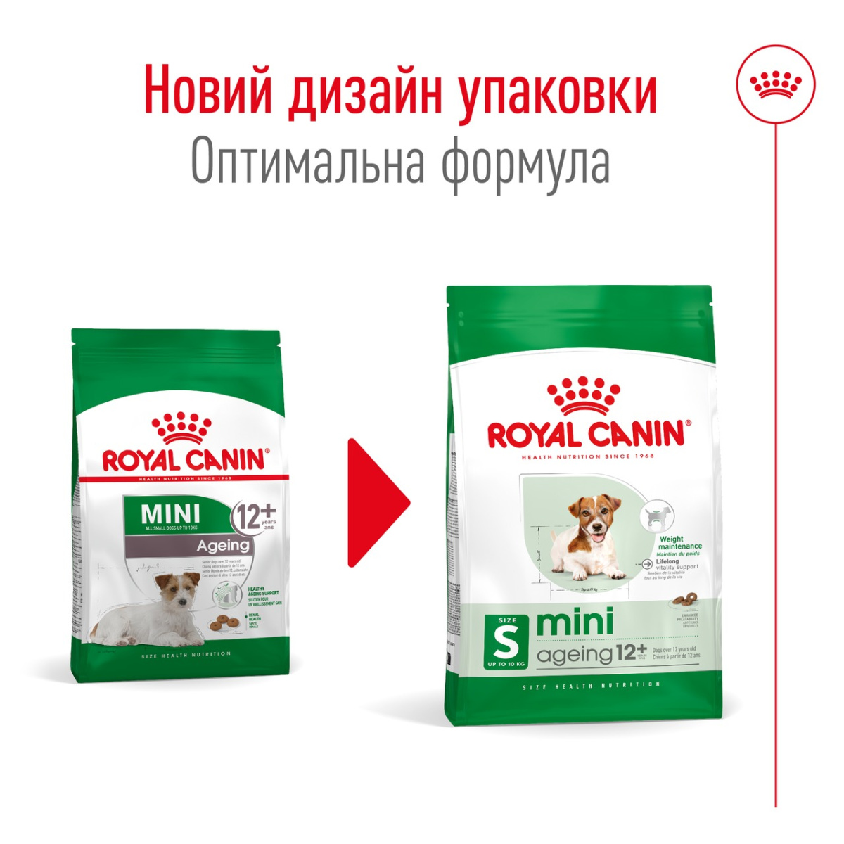 Сухой корм для пожилых собак маленьких пород в возрасте от 12 лет Royal Canin Mini Ageing 12+
