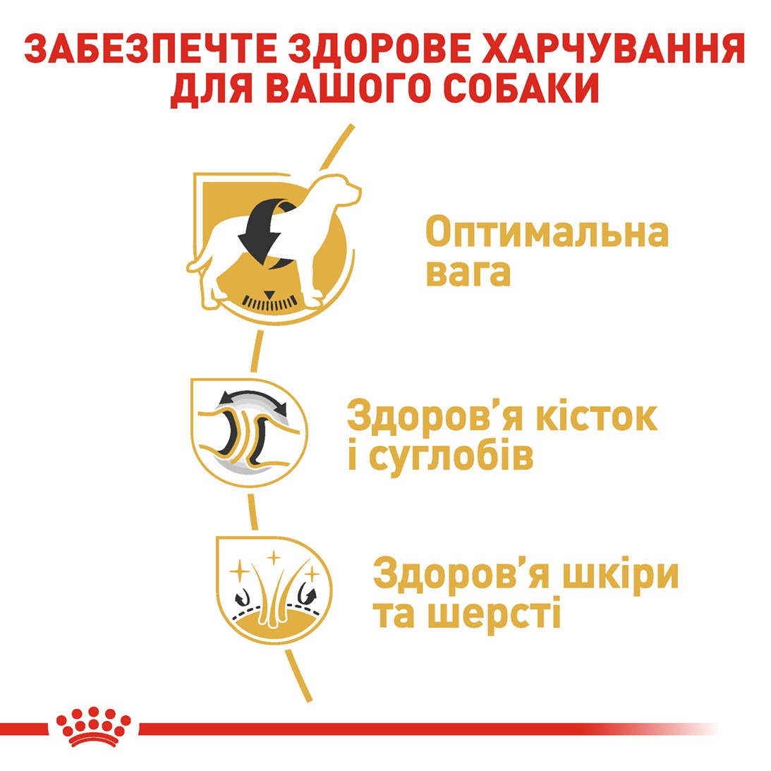 Сухой корм для собак породы Лабрадор старше 15 месяцев Royal Canin Labrador Retriever Adult 