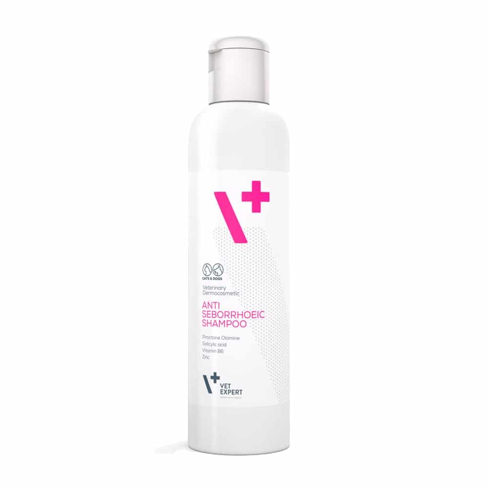 Дерматологический антисеборейный шампунь для собак и котов VetExpert Antiseborrhoeic Shampoo