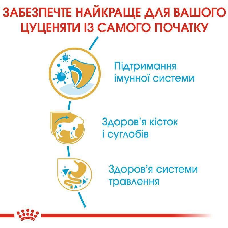 Сухой корм для щенков породы Такса до 10 месяцев Royal Canin Dachshund Puppy