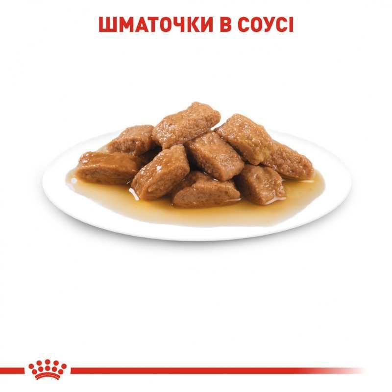 Вологий корм у соусі для дорослих собак середніх порід віком від 1 до 10 років Royal Canin Medium Adult