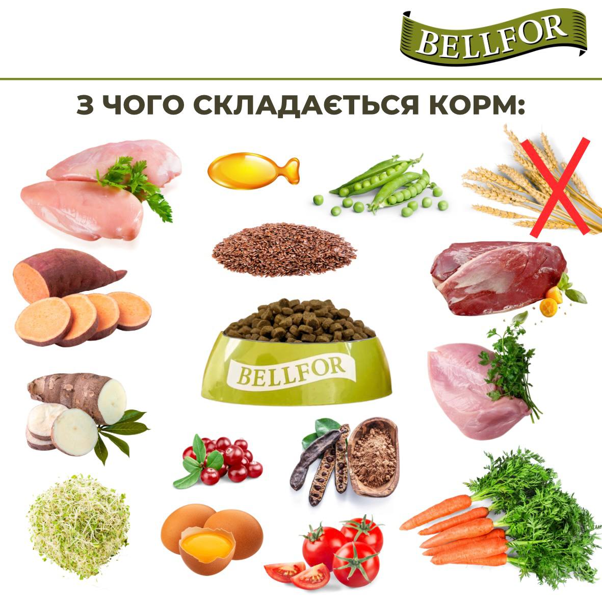 Беззерновой питательный сухой корм холистик с мясом курицы, индейки и утки для собак Bellfor Gutshof Schmaus