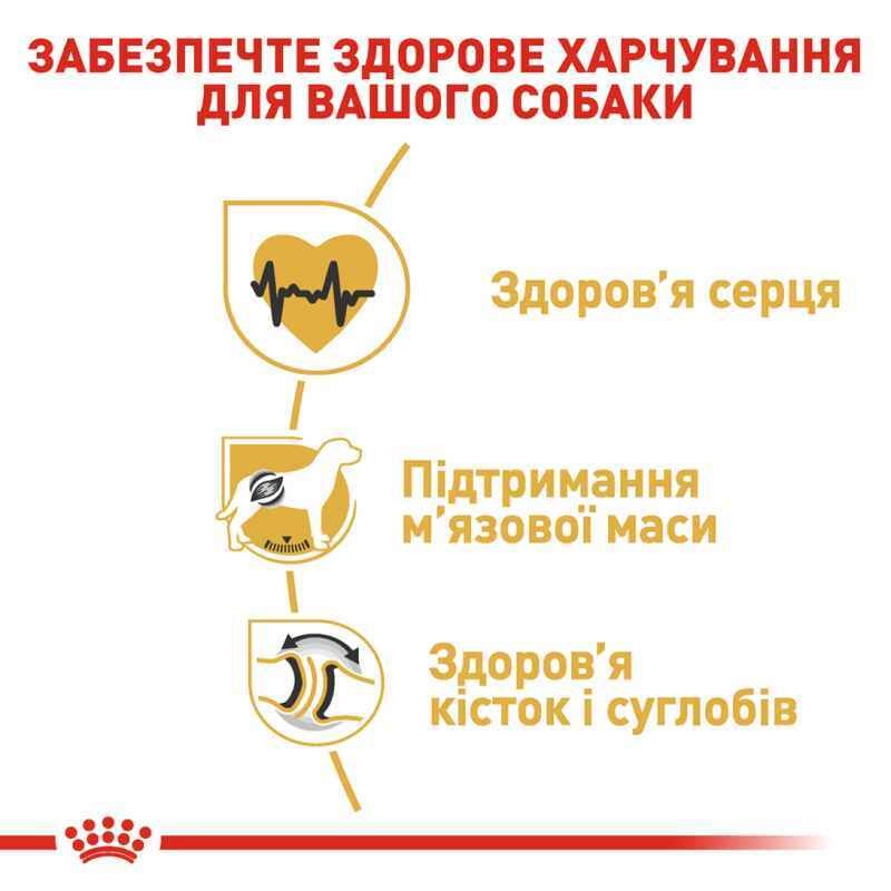 Сухий корм для собак породи Ротвейлер віком від 18 місяців Royal Canin Rottweiler Adult