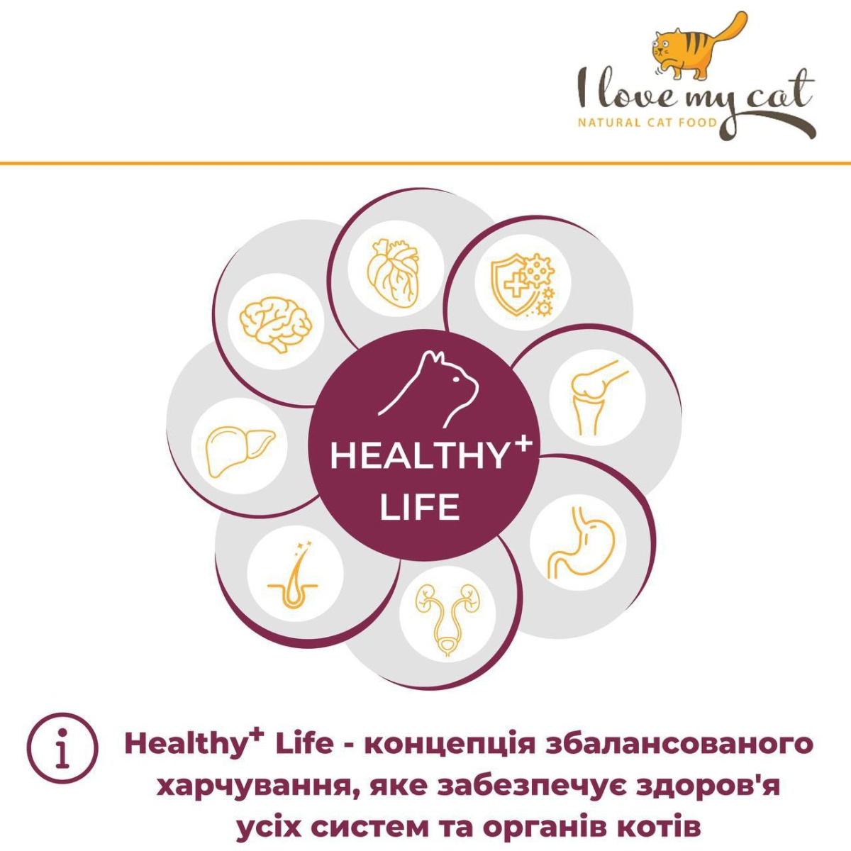 Беззерновой монопротеиновый сухой корм холистик с курицей для котов I Love my cat Chicken Беззерновой монопротеиновый сухой корм холистик с курицей для котов I Love my cat Chicken