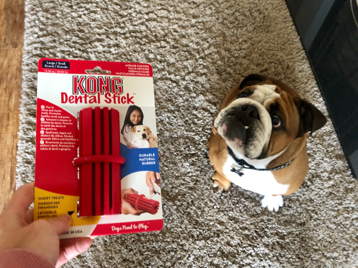 Іграшка для собак Палиця Конг для ласощів та очищення зубів KONG Dental Stick Іграшка для собак Палиця Конг для ласощів та очищення зубів KONG Dental Stick