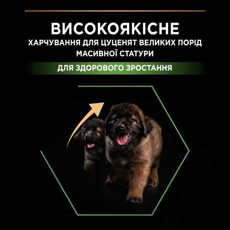 Сухий корм з куркою для здорового розвитку цуценят великих порід Purina Pro Plan Large Robust Healthy Start Puppy Chicken