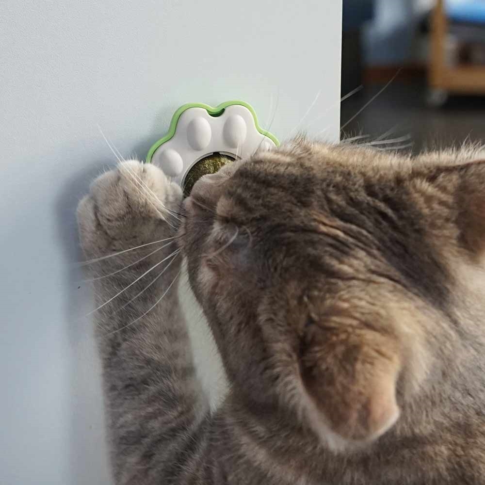 Іграшка-лізун для котів Лапка з котячою м'ятою Paw Catnip Ball Licking Nobby