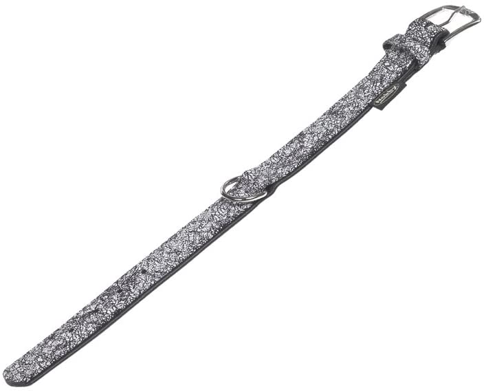 Кожаный эксклюзивный ошейник для собак Серебро Leather Exclusive Silver Collar Nobby