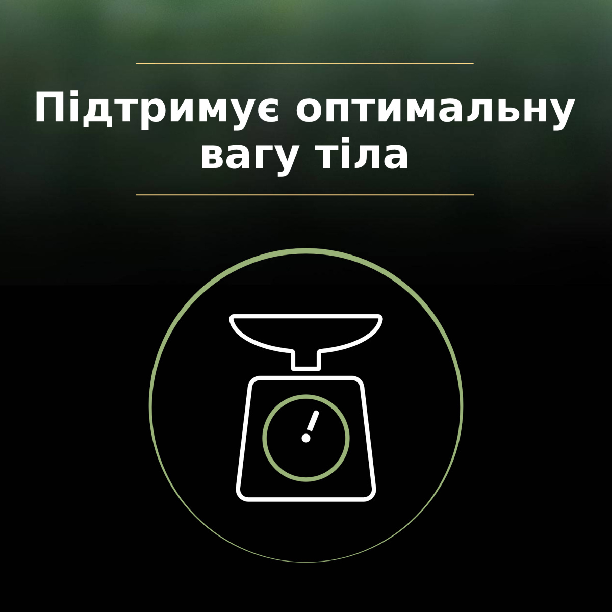 Сухий корм з індичкою для стерилізованих кішок, знижуючий рівень алергенів на шерсті Purina Pro Plan LiveClear Sterilised Adult 1+ Turkey