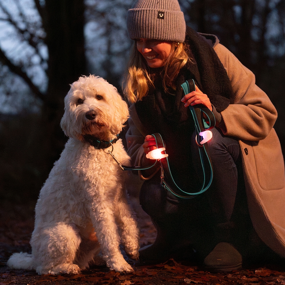 Світлодіодний кулон-затиск на нашийник або шлею Starlight Multi Light Nobby