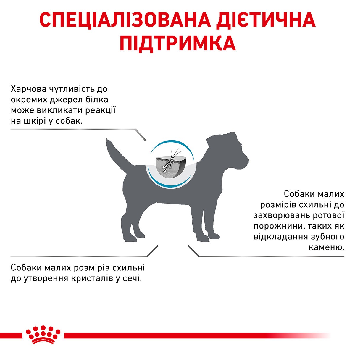 Сухий лікувальний корм для маленьких собак при харчовій алергії Royal Canin Veterinary Hypoallergenic Small Dogs