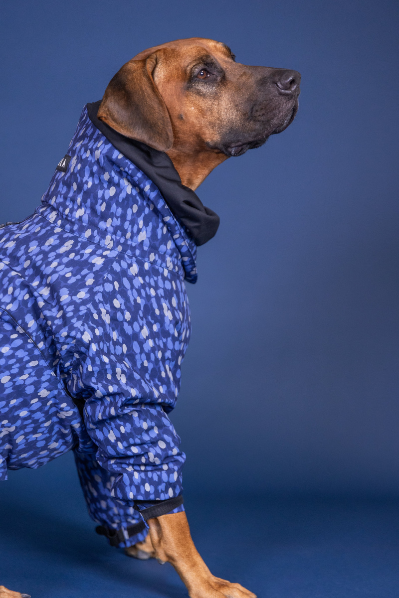 Водонепроницаемый зимний костюм со светоотражающим узором для собак PAIKKA Winter Suit Blue