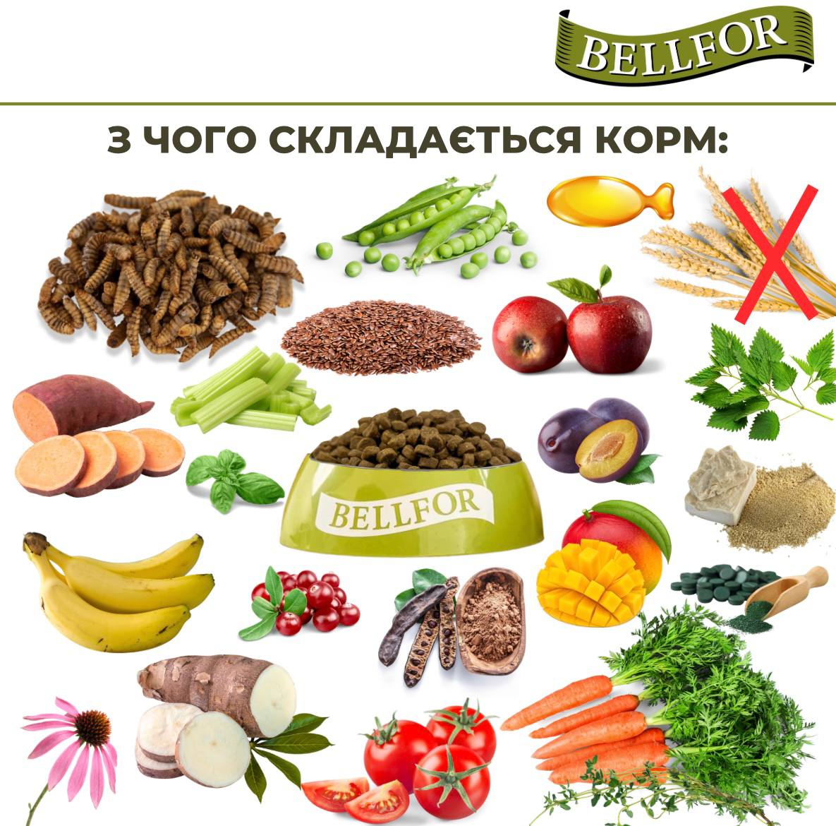 Беззерновой сухой корм холистик на основе белка насекомых для взрослых собак Веllfor Insect Landgut Schmaus Hypoallergenic