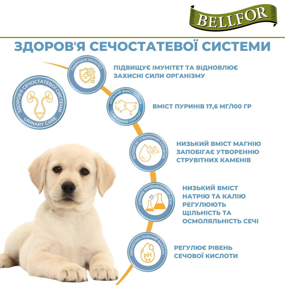 Беззерновий сухий корм холістик на основі білка комах для цуценят Веllfor Insect Landgut Schmaus Hypoallergenic Junior