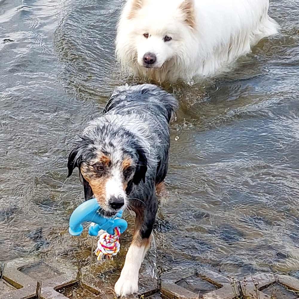 Плаваюча іграшка для собак Жувальний Якір Anker Floating Nobby