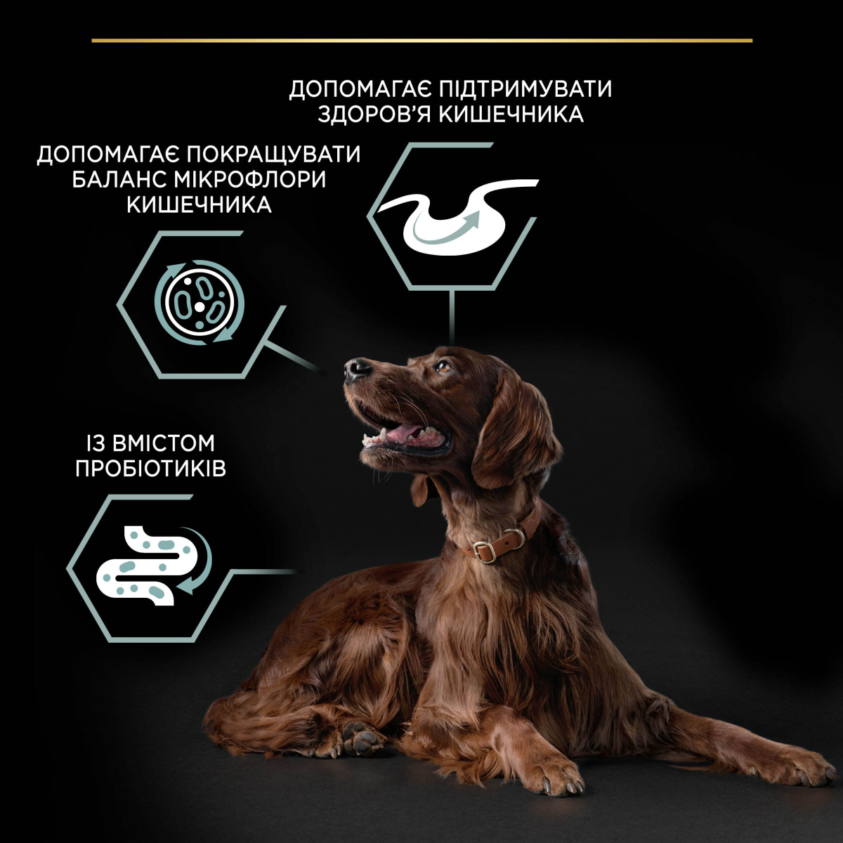 Сухий корм для атлетичних собак з чутливим травленням з Ягням Purina Pro Plan Large Athletic Adult 2+ Sensitive Digestion Lamb