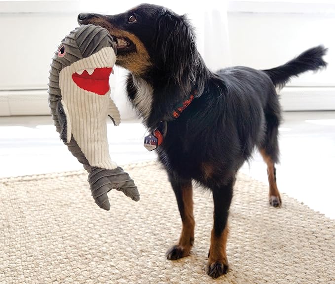 KONG CuteSeas Rufflez Shark М'яка іграшка для собак Акула з суперпищалкою