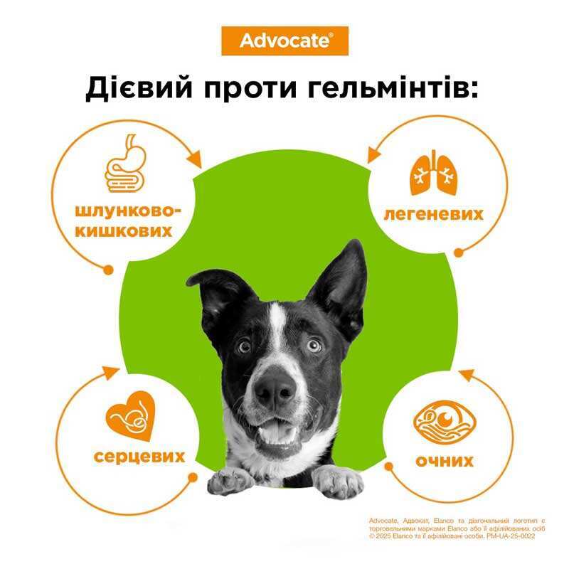 Антипаразитарні краплі для собак вагою 10-25 кг від бліх, гельмінтів та шкірних кліщів Адвокат Elanco Advocate Dogs