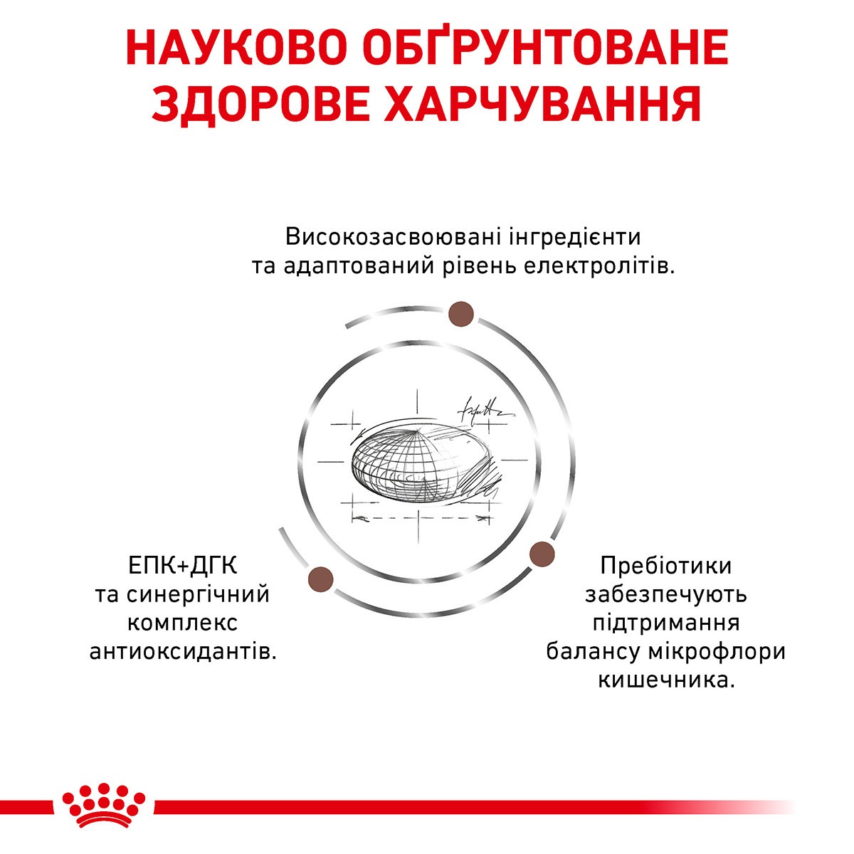 Сухий лікувальний корм для собак при гострих розладах травлення Royal Canin Veterinary Gastrointestinal