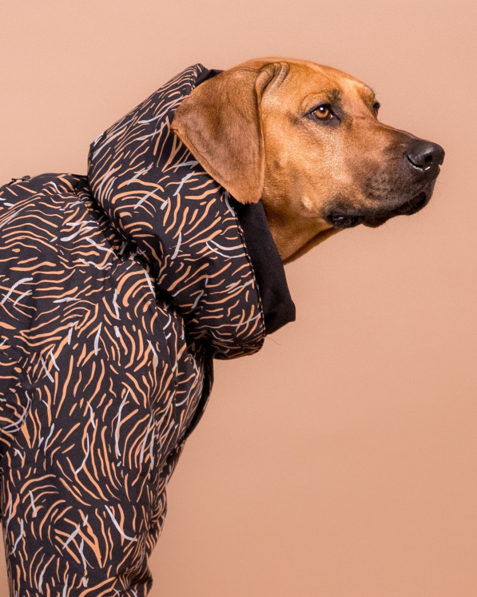 Водонепроникний світловідбиваючий зимовий костюм для собак PAIKKA Winter Suit Coal Водонепроникний світловідбиваючий зимовий костюм для собак PAIKKA Winter Suit Coal