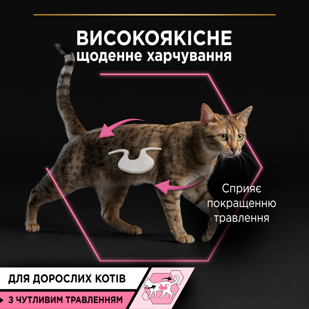 Вологий корм для кішок з чутливим травленням Шматочки індички у підливці Purina Pro Plan Delicate Digestion Adult Turkey
