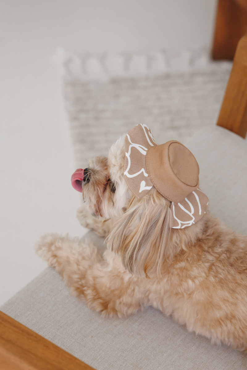 Панама для собак Принт Pet Fashion Dog Sun Hat Print