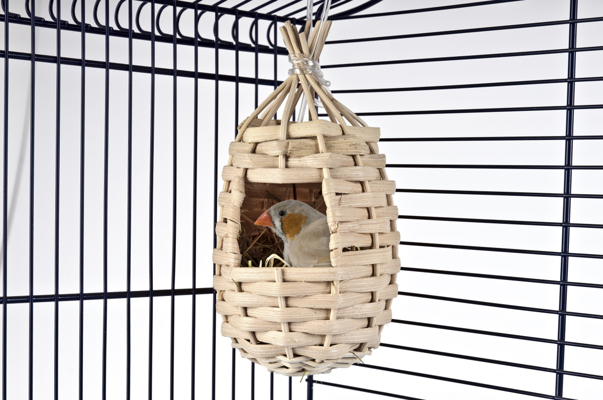 Подвесное плетёное гнездо для канареек и волнистых попугаев Imac Nido Esotico