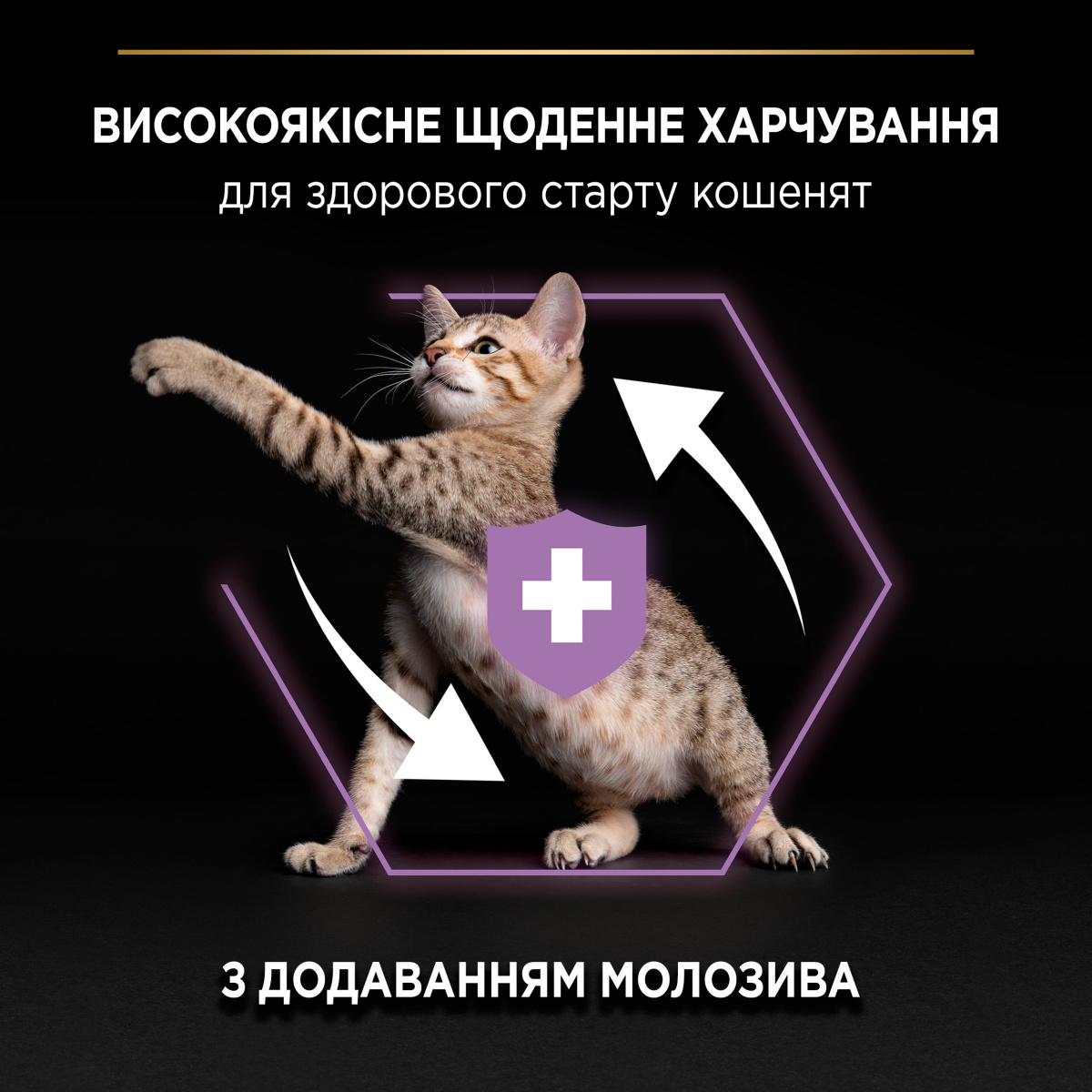 Сухой корм с курицей для здорового развития котят в возрасте от 1 месяца Purina Pro Plan Kitten Healthy Start Chicken