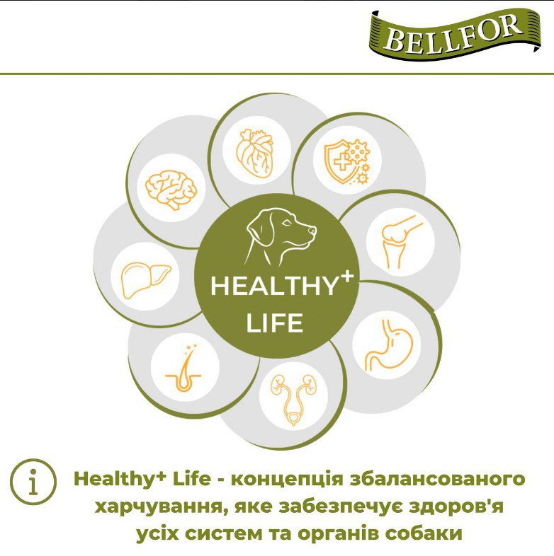 Беззернова монопротеїнова консерва для собак з м'ясом ягня Bellfor Heide-Menu Lamm Беззернова монопротеїнова консерва для собак з м'ясом ягня Bellfor Heide-Menu Lamm