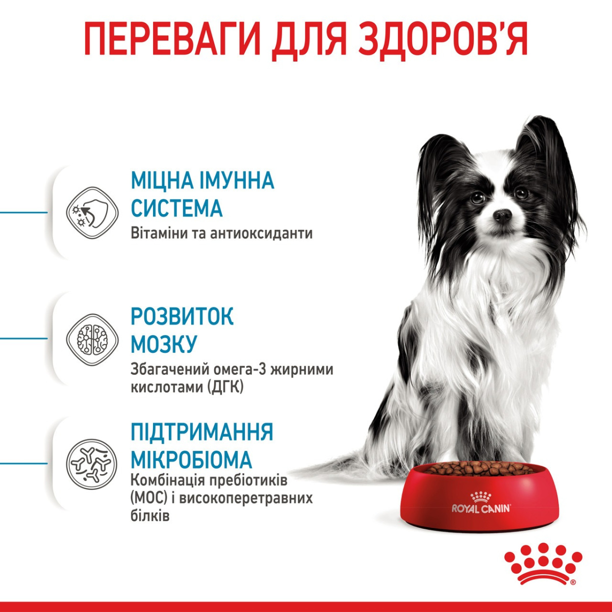 Сухой корм для щенков миниатюрных пород в возрасте от 2 до 10 месяцев Royal Canin X-Small Puppy