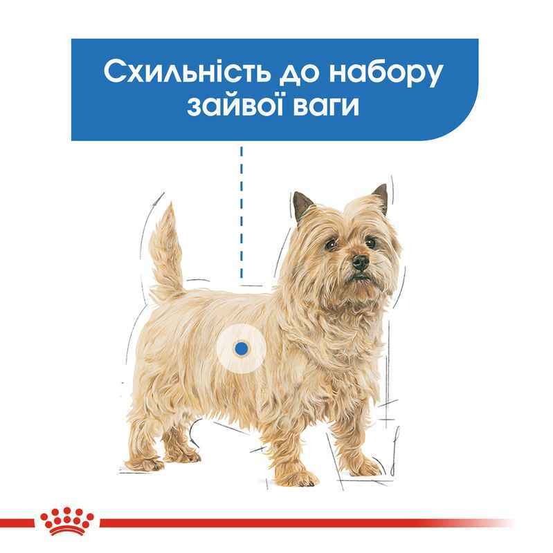 Вологий корм для дорослих собак схильних до зайвої ваги Royal Canin Light Weight Care