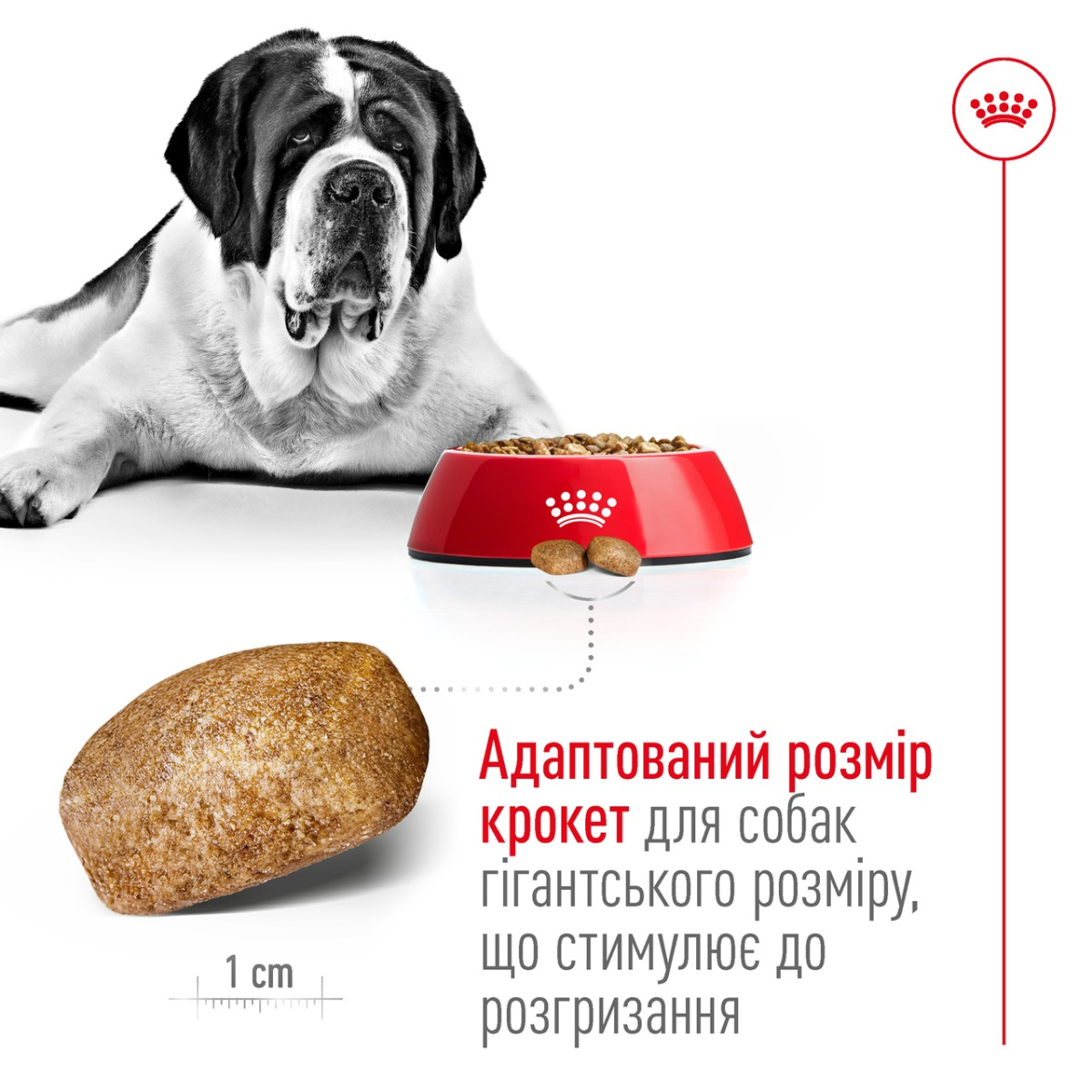 Сухий корм для собак гігантських порід віком від 24 місяців Royal Canin Giant Adult