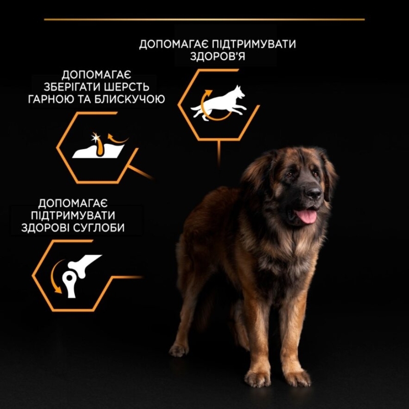 Сухой корм с курицей для больших собак массивного телосложения Purina Pro Plan Large Robust Adult 2+ Chicken Сухой корм с курицей для больших собак массивного телосложения Purina Pro Plan Large Robust Adult 2+ Chicken