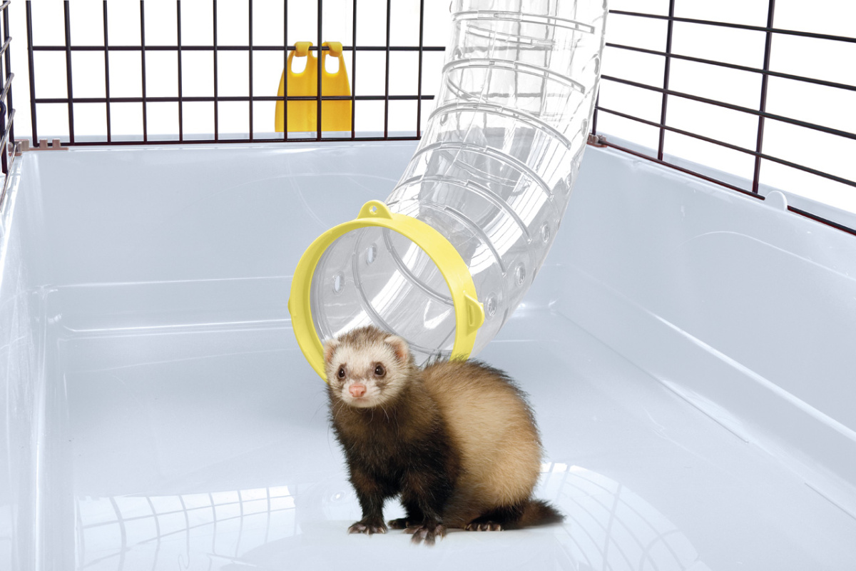 Пластиковый туннель для хорька с с отверстиями для воздуха Imac Ferret Tube