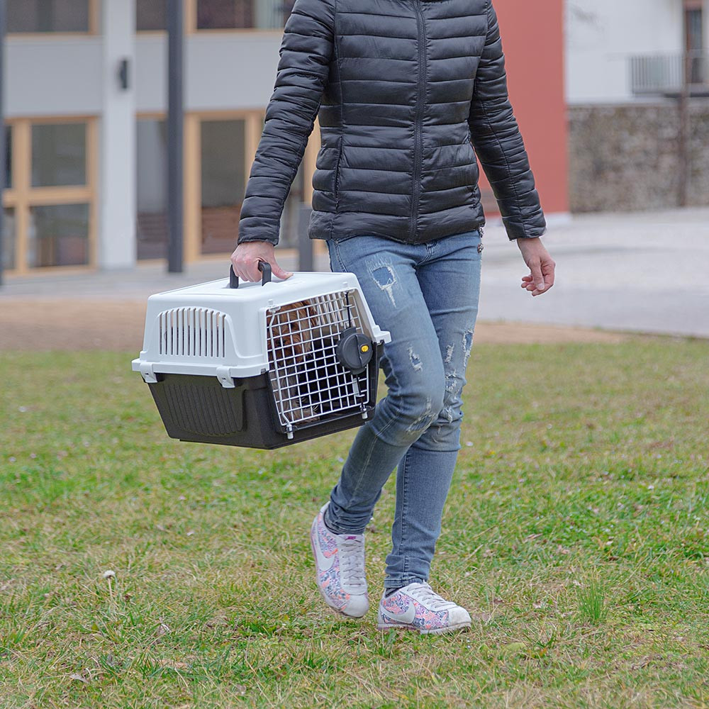 Переноска для котов и миниатюрных собак весом до 5 кг Atlas 10 Professional Ferplast