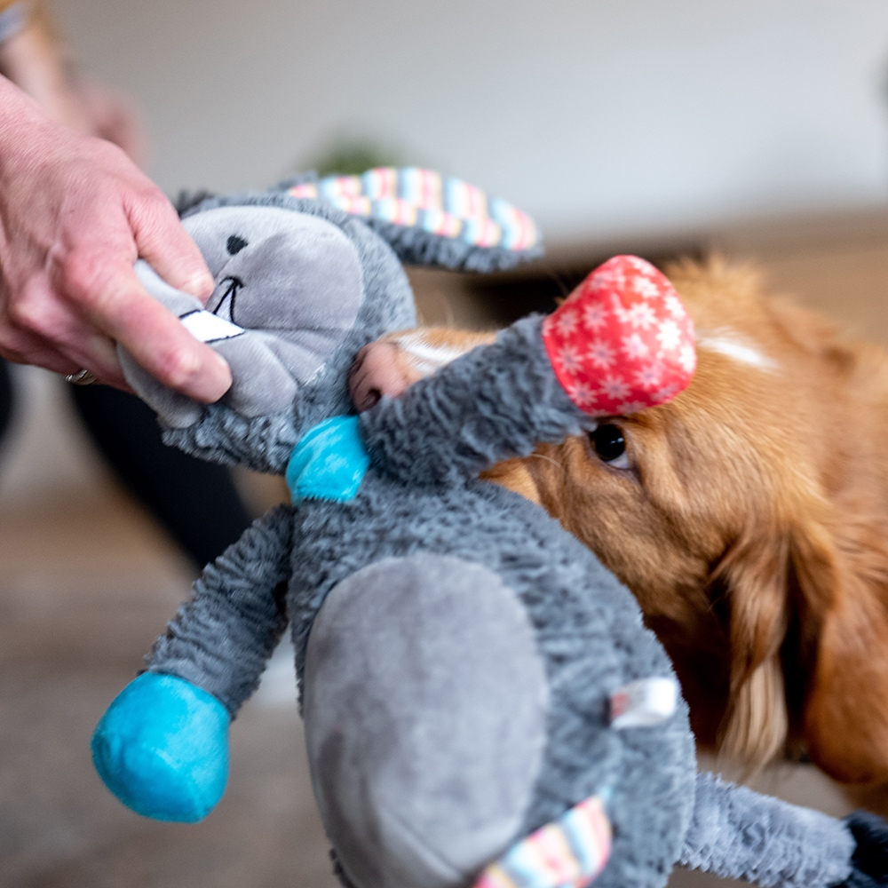 Мягкая игрушка для больших собак Ослик с пищалкой Plush Nobby