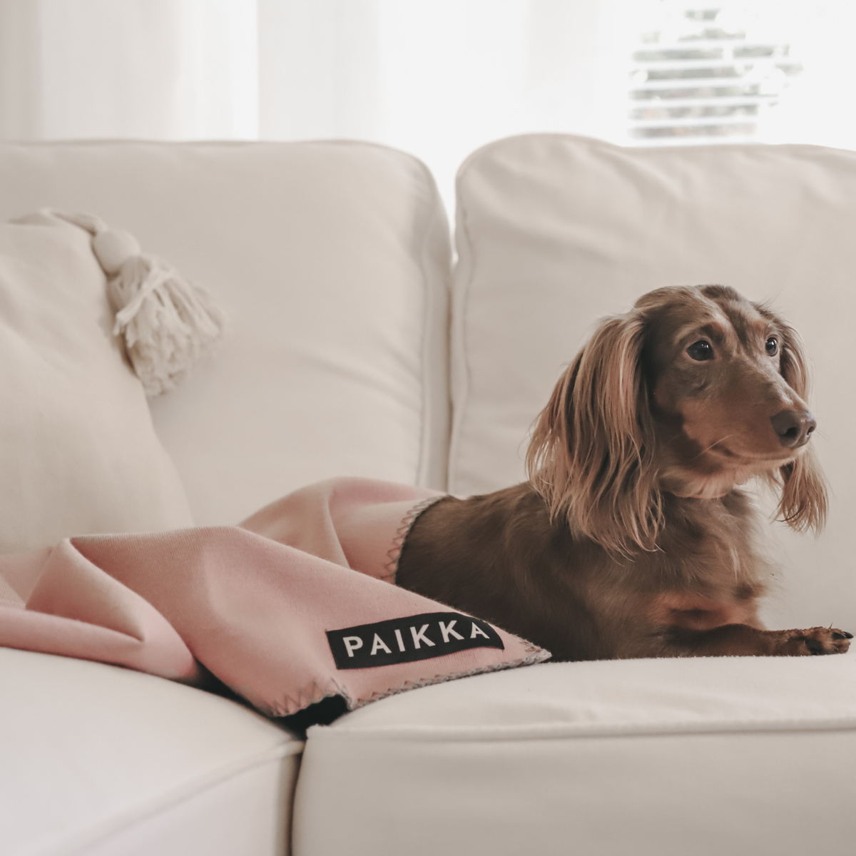 Восстанавливающее розовое FIR-одеяло с дорожной сумкой для собак PAIKKA Recovery Blanket Pink Восстанавливающее розовое FIR-одеяло с дорожной сумкой для собак PAIKKA Recovery Blanket Pink