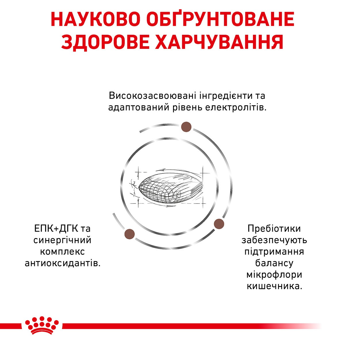 Сухий лікувальний низькокалорійний корм для собак при розладах травлення Royal Canin Veterinary Gastrointestinal Low Fat