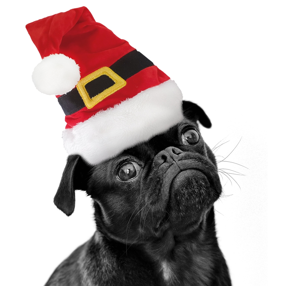 Новогодняя шапка для собак Санта Santa Christmas Dog Hat Nobby