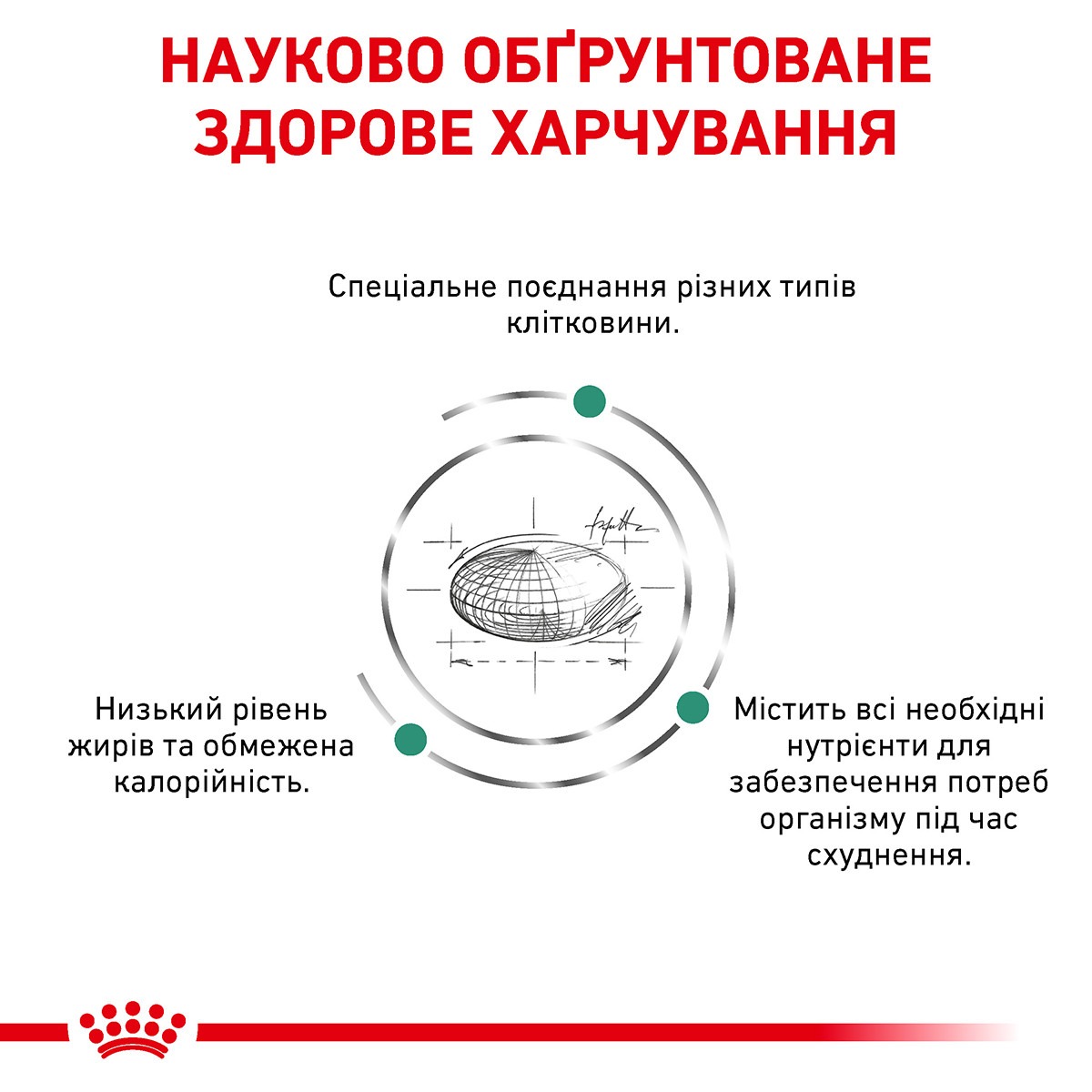 Сухий лікувальний корм для дорослих котів з надмірною вагою Royal Canin Veterinary Satiety Weight Management s/o index