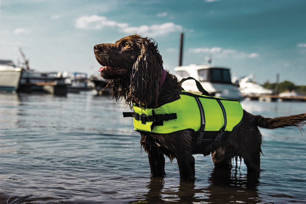 Спасательный жилет со светоотражающими полосками и ручкой для собак Nellsa Swimming Vest Nobby Спасательный жилет со светоотражающими полосками и ручкой для собак Nellsa Swimming Vest Nobby