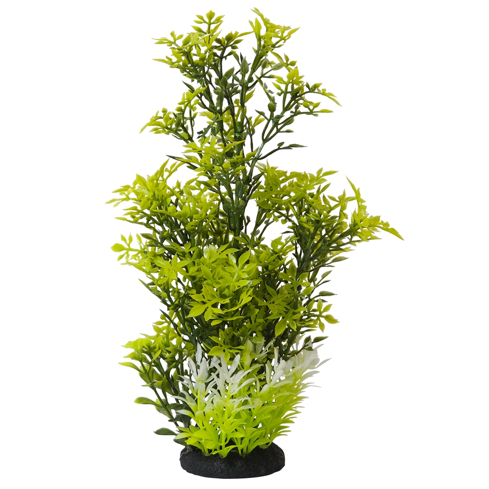 Декоративное растение для аквариума Ротала Rotala Aqua Plant Nobby