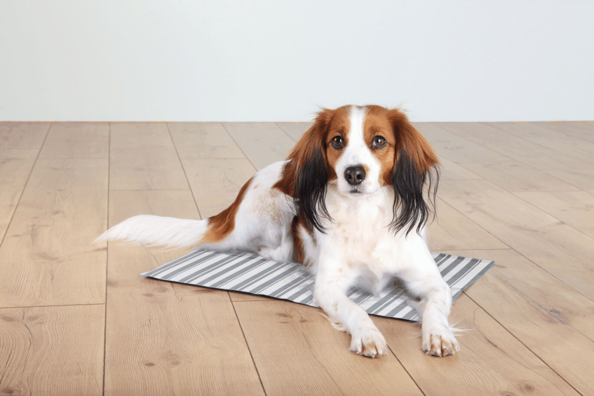 Гелевий охолоджуючий килимок для собак и котів Stripes Cooling Mat Trixie