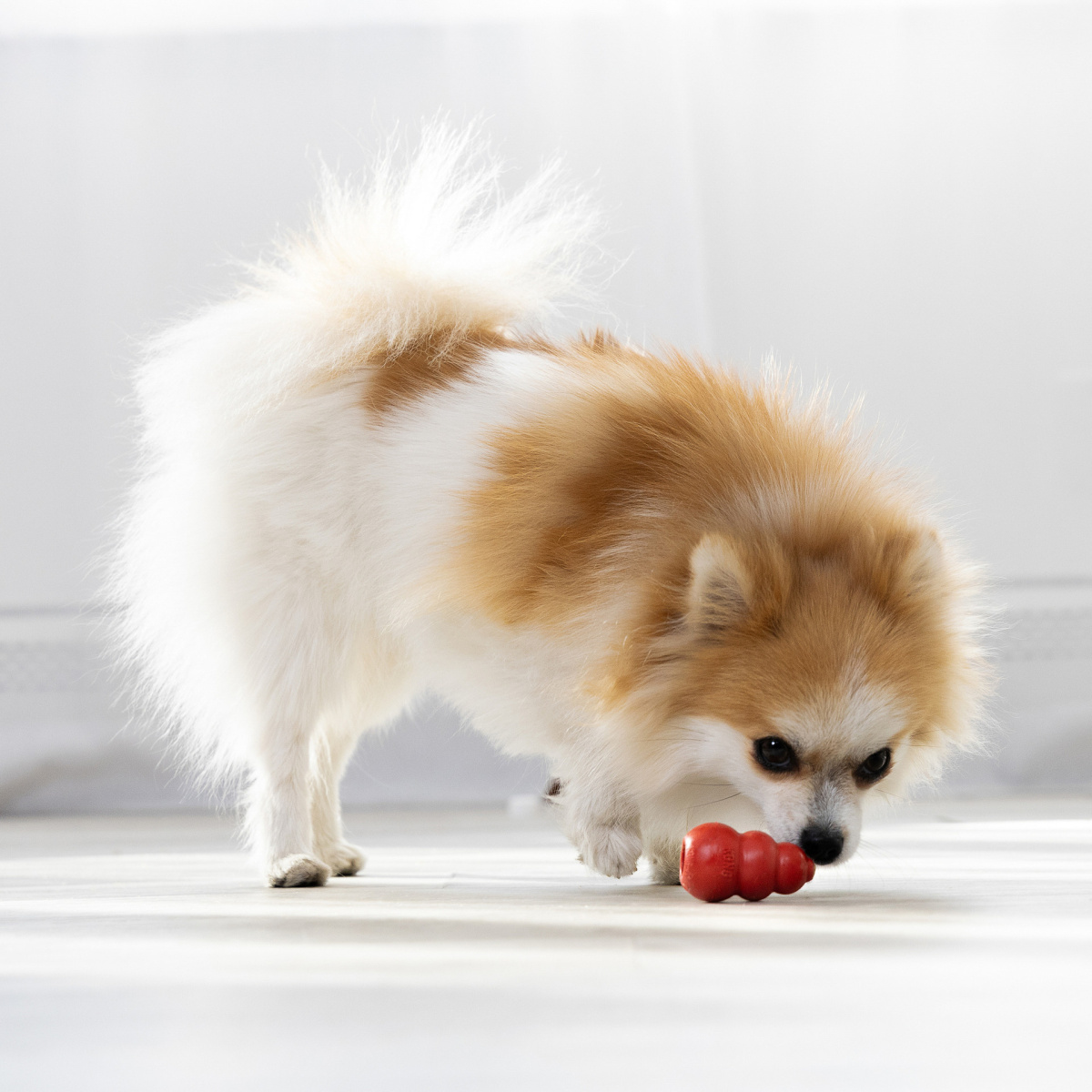 Іграшка для собак КОНГ Розвиваючий для ласощів KONG Classic