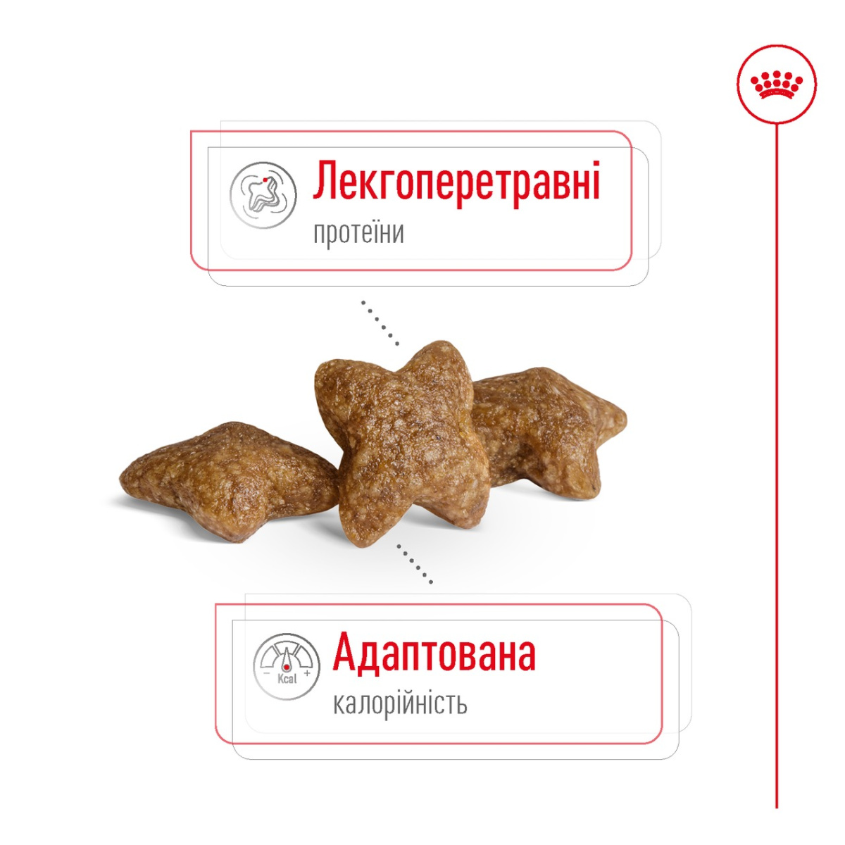 Сухой корм для собак маленьких пород в возрасте от 10 месяцев до 8 лет Royal Canin Mini Adult Сухой корм для собак маленьких пород в возрасте от 10 месяцев до 8 лет Royal Canin Mini Adult