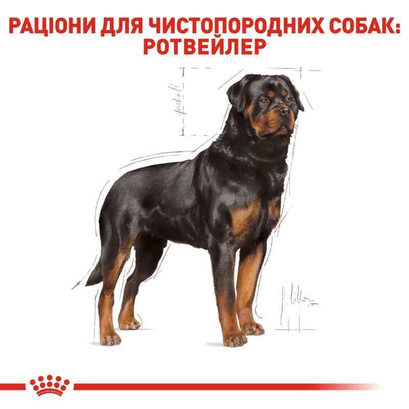 Сухий корм для собак породи Ротвейлер віком від 18 місяців Royal Canin Rottweiler Adult