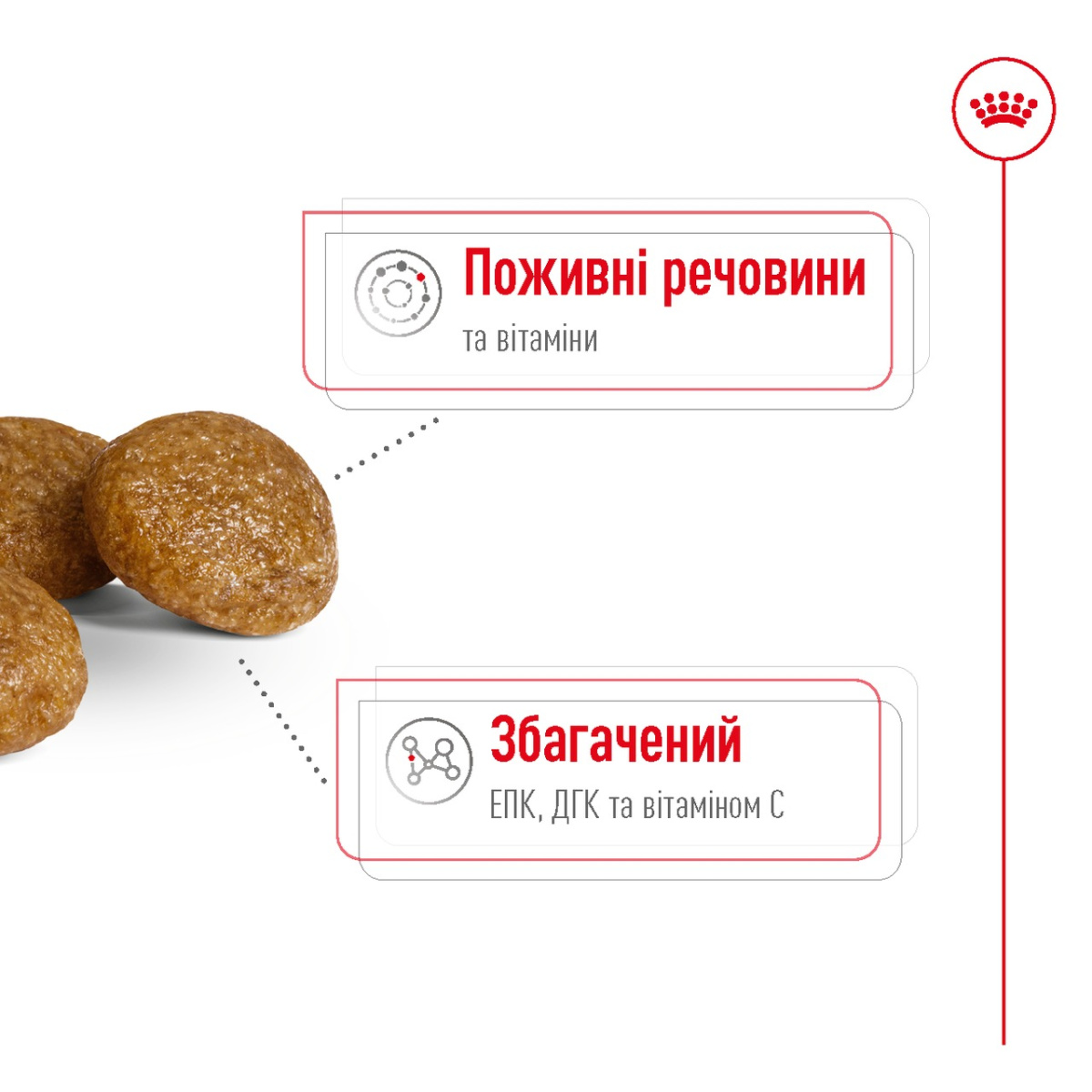 Сухой корм для пожилых собак миниатюрных пород в возрасте от 8 лет Royal Canin X-Small Adult 8+
