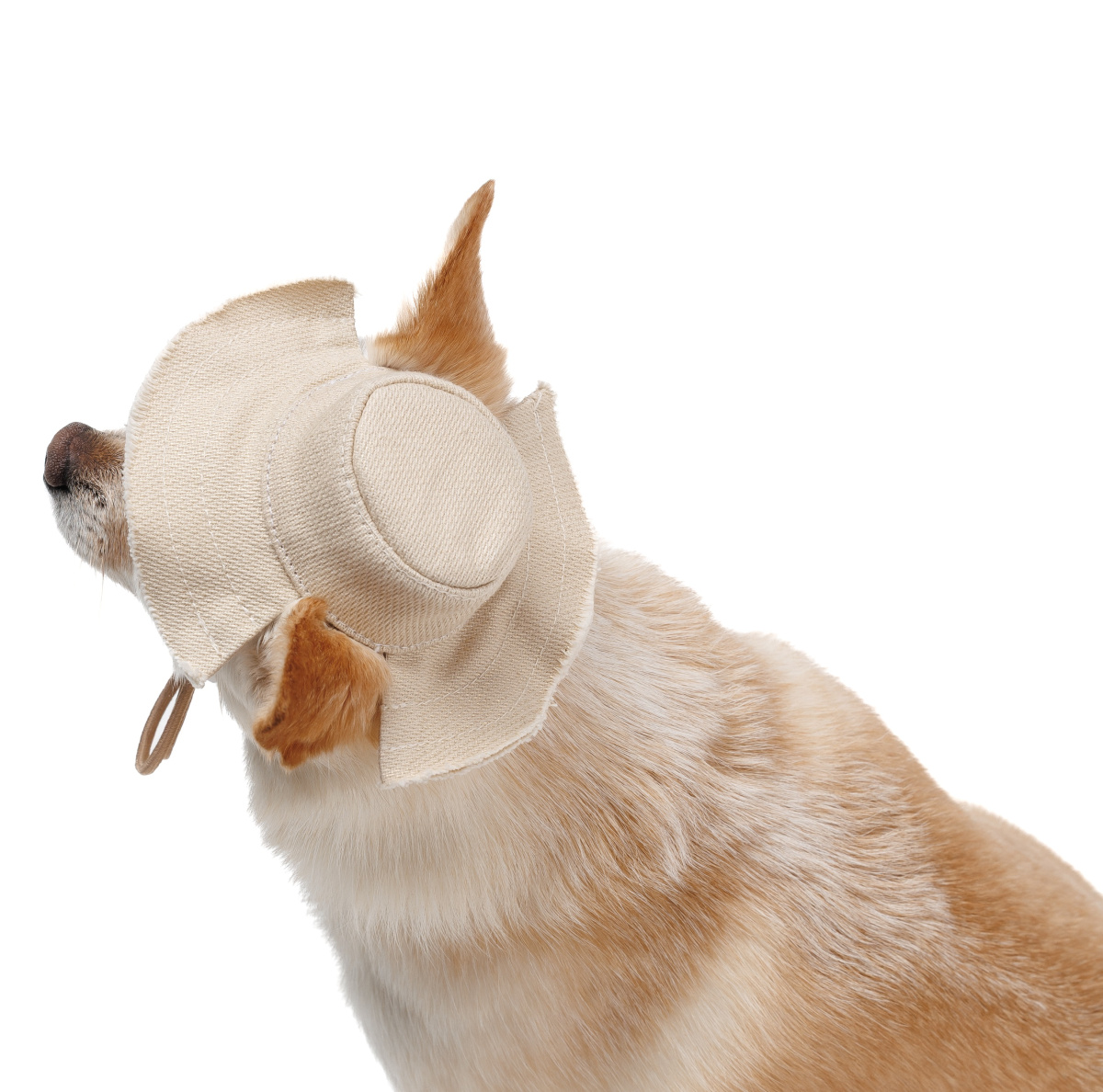 Панама для собак Голд Pet Fashion Dog Sun Hat Gold