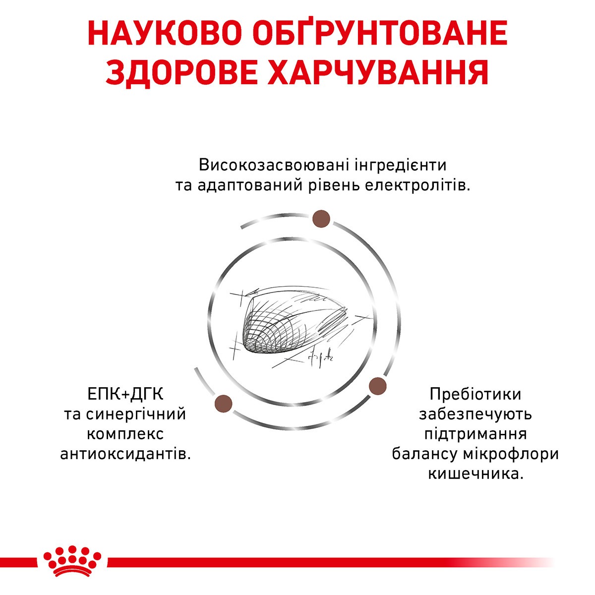 Сухий лікувальний корм для котів при гострих розладах травлення Royal Canin Veterinary Gastrointestinal s/o index